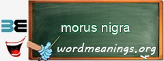 WordMeaning blackboard for morus nigra